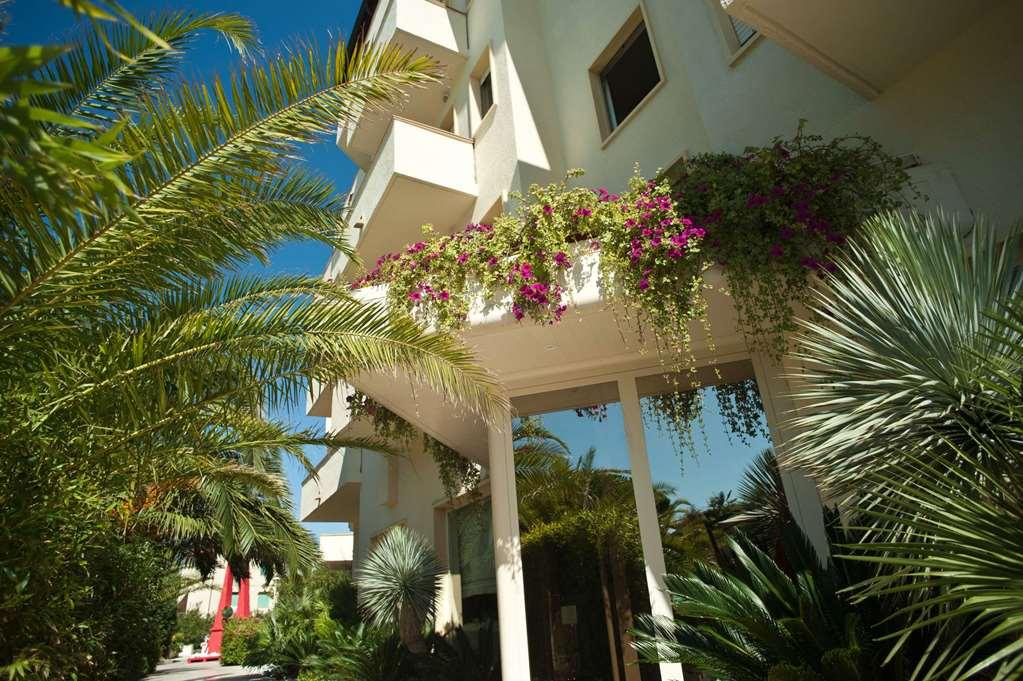 Hotel Stella Del Mare - Vada Bagian luar foto